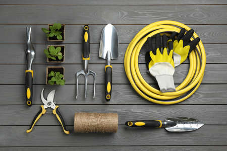 Flat lay composition with gardening tools and green plants on gray wooden backgroundの写真素材