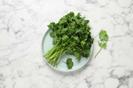 Bunch of fresh aromatic cilantro on white marble table, flat layの写真素材