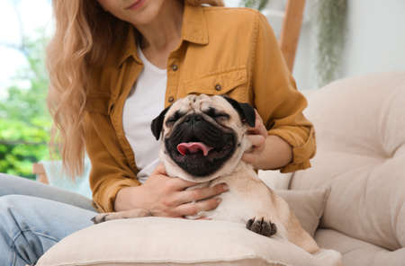 Woman with cute pug dog at home, closeup. Animal adoptionの写真素材