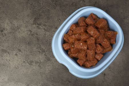 Wet pet food in feeding bowl on gray stone background, top view. Space for text