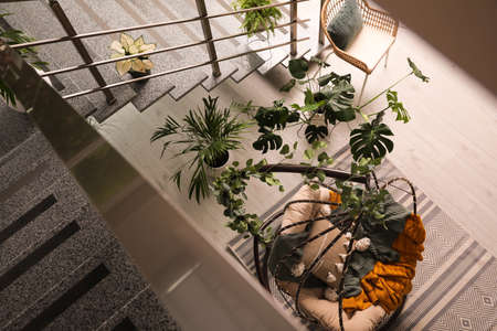 Indoor terrace interior with hanging chair and green plants, above viewの写真素材
