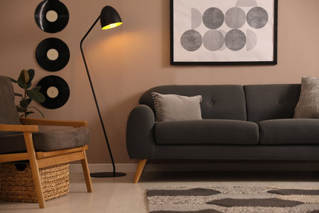 Stylish living room interior with comfortable dark sofaの写真素材