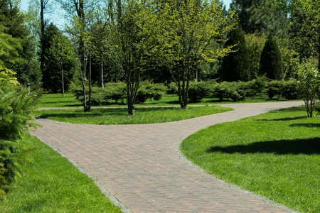 Picturesque view of beautiful park with fresh green grass and trees