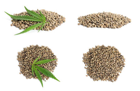Set with hemp seeds on white backgroundの写真素材