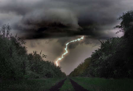 Dark cloudy sky with lightning striking trees. Thunderstorm