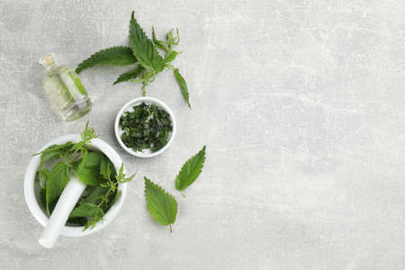 Stinging nettle and extract on gray background, flat lay with space for text. Natural hair careの写真素材