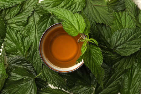 Cup of aromatic nettle tea on fresh green leaves, top view