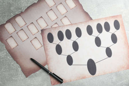 Blank family tree charts and pen on gray table, flat lay