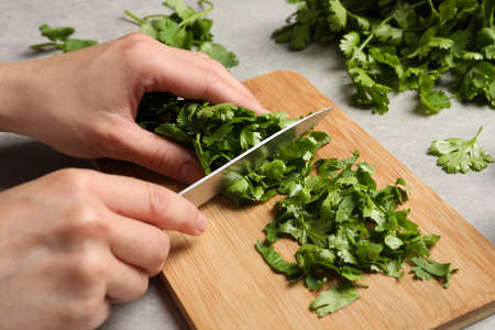 Woman cutting fresh green cilantro at light gray table, closeupの写真素材