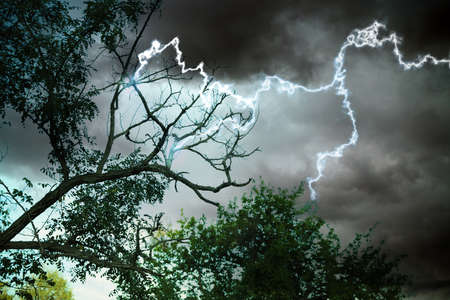 Dark cloudy sky with lightning striking trees. Thunderstormの写真素材
