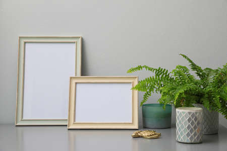 Empty photo frames, candles and green plant on gray table