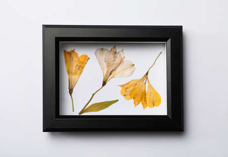 Frame with wild dried meadow flowers on white background, top viewの写真素材