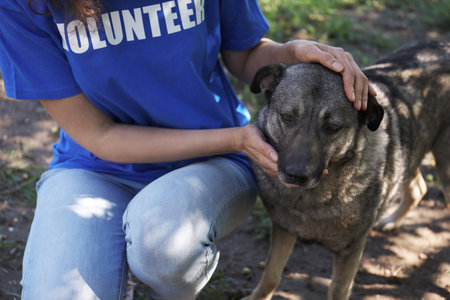 Volunteer with homeless dog in animal shelter closeupの写真素材