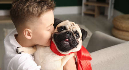 Little boy with cute pug dog at homeの写真素材