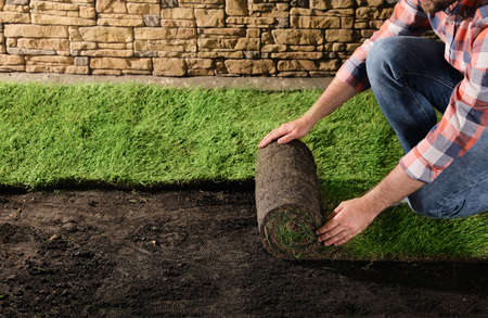 Young man laying grass sod on ground at backyard, closeup. Space for textの写真素材