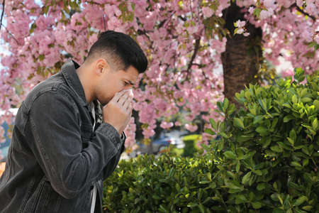 Man suffering from seasonal pollen allergy near blossoming tree outdoorsの写真素材