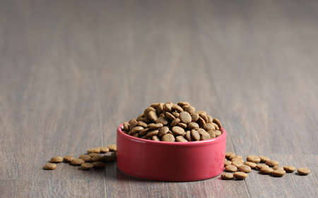 Bowl with dry dog food on wooden floor indoors