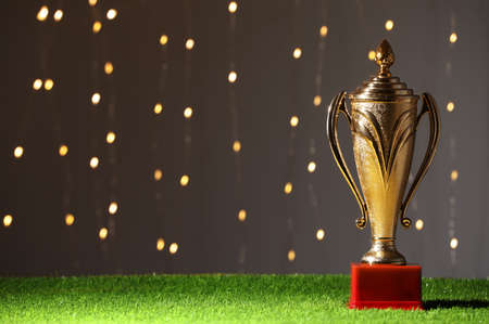 Golden trophy cup on green grass against blurred festive lights, space for textの写真素材