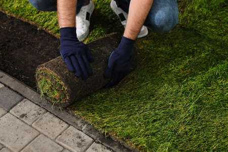Young man laying grass sod on ground in garden, closeupの写真素材