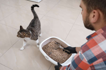 Young man in gloves cleaning cat litter tray at homeの写真素材