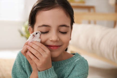 Little girl with cute hamster at homeの写真素材