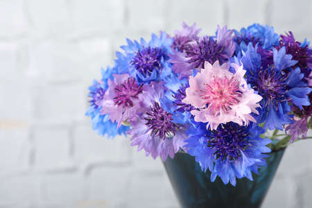 Bouquet of beautiful cornflowers in glass vase against white wall, closeupの写真素材