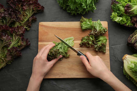 Woman cutting red leaf lettuce at black slate table, top viewの写真素材