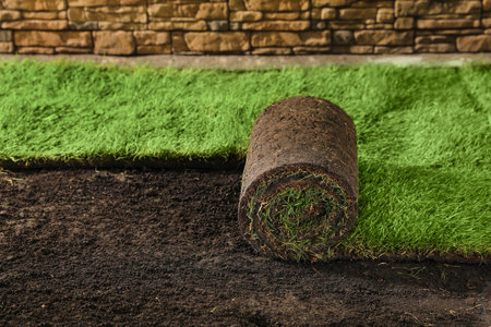 Laying grass sods at backyard. Home landscapingの写真素材