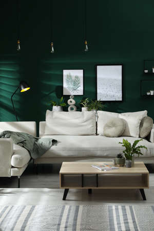 Modern living room interior with stylish comfortable sofa