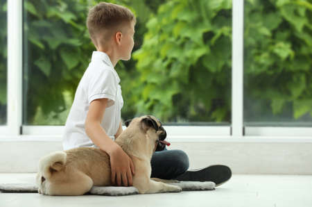 Boy with his cute pug near window indoors. Space for textの写真素材
