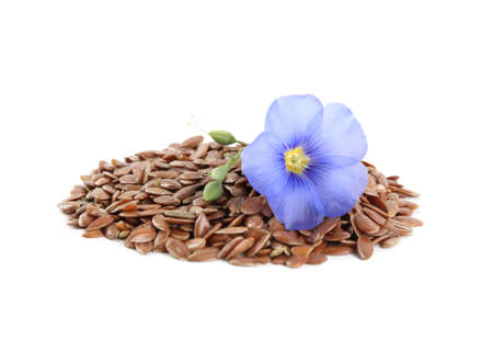 Flax flower and seeds on white backgroundの写真素材