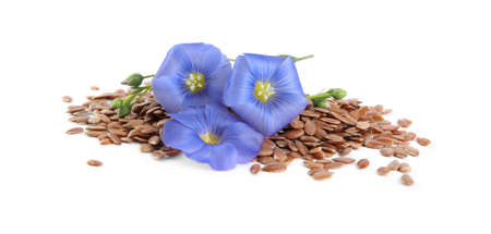 Flax flowers and seeds on white backgroundの写真素材