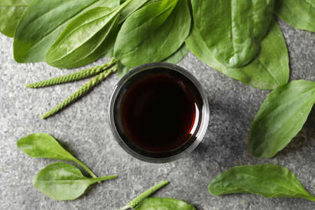 Broadleaf plantain tincture on gray table, flat lay