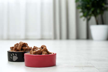 Wet pet food in feeding bowls on floor indoors, space for textの写真素材