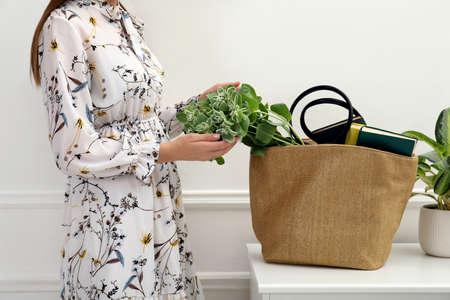 Woman putting plant in beach bag indoors, closeupの写真素材