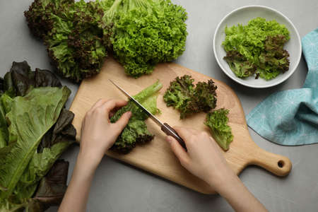 Woman cutting red leaf lettuce at light gray table, top viewの写真素材