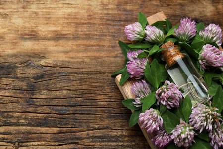 Beautiful clover flowers and bottle of essential oil on wooden table, above view. Space for textの写真素材