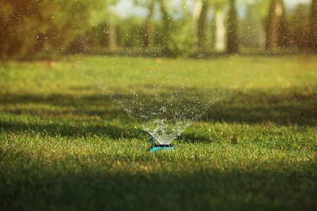 Automatic sprinkler watering green grass in park. Irrigation systemの写真素材
