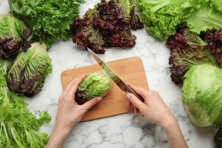 Woman cutting red romaine lettuce at white marble table, top viewの写真素材