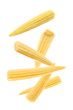 Tasty baby corn cobs flying on white backgroundの写真素材