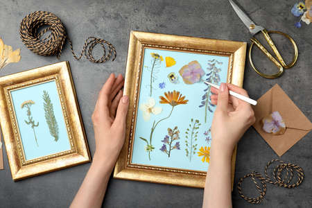 Woman making beautiful herbarium with pressed dried flower at black table, top view