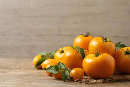 Fresh ripe yellow tomatoes with leaves on wooden table. Space for textの写真素材
