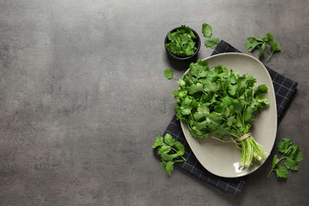 Fresh aromatic cilantro on gray table, flat lay. Space for textの写真素材