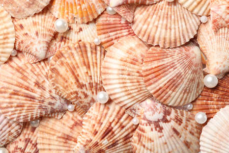Beautiful pearls and seashells as background, closeupの写真素材