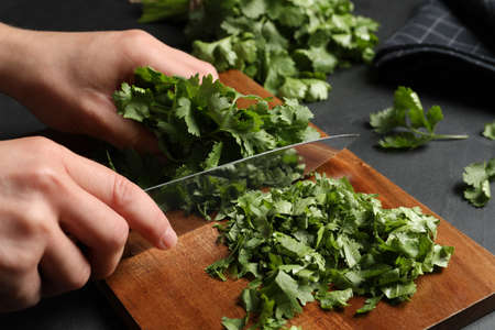 Woman cutting fresh green cilantro at black table, closeupの写真素材