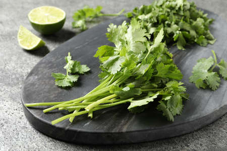 Fresh green cilantro on gray table, closeupの写真素材