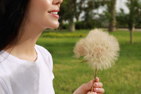Beautiful young woman with large dandelions in park, closeup. Allergy free conceptの写真素材