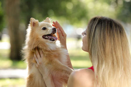 Young woman with her cute dog in park on sunny dayの写真素材