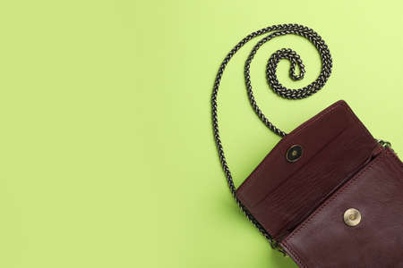Stylish women's bag on green background, top view. Space for textの写真素材