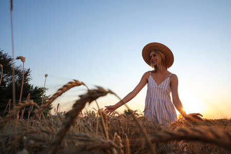 Woman in ripe wheat spikelets field. Space for textの写真素材